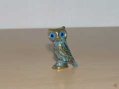 Афинская сова, правда куплена в Москве. С ярко-голубыми глазами.
